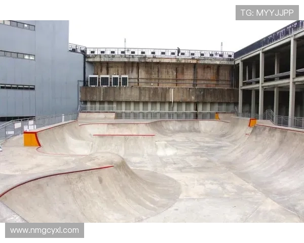 上海滑板队灵活性全面对比分析及其影响因素探讨