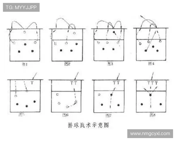 排球战术揭秘：深入分析西安排球队的战术布局与竞技风格