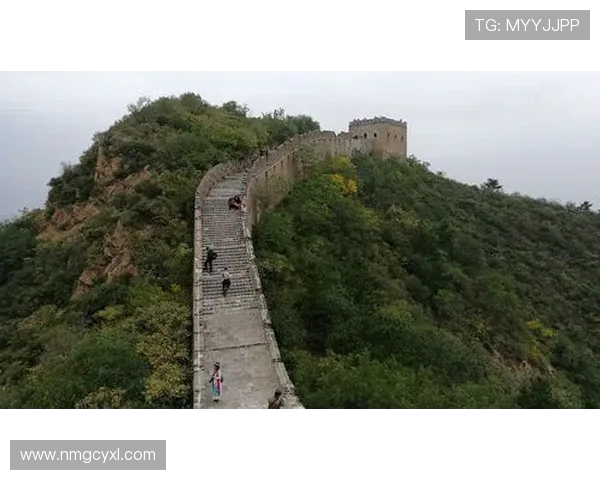 杭州攀岩队逆袭之旅全景纪实展现勇气与坚持的力量