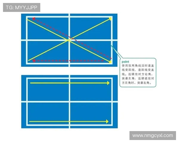 武汉乒乓球队战术分析与表现评估的深度研究与探讨