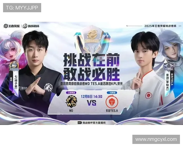 王者荣耀赛事分析:TES战队荣登第六名经验排行榜的背后故事 王者荣耀赛事分析:TES战队荣登第六名经验排行榜的背后故事