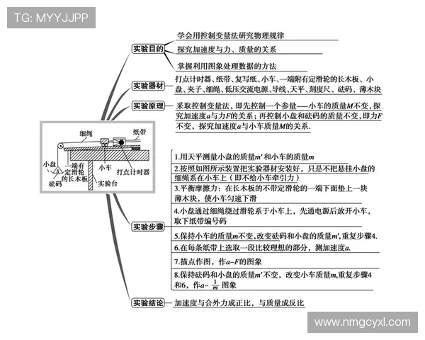 西安排球队的速度分析与战术应用探讨